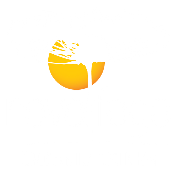 Novo Fogo
